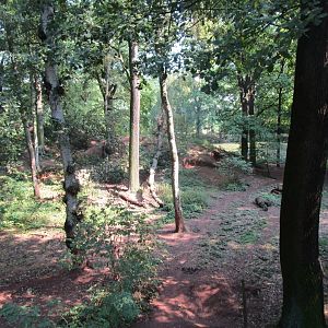 Brown Bear Enclosure