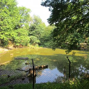 Brown Bear Enclosure