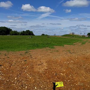 New white rhino lookout