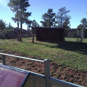 Barbary sheep exhibit