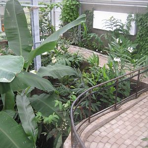 Hald Ege Miniregnskov - Den Nye Regnskov