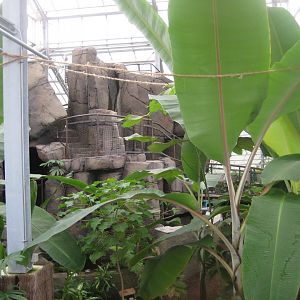 Hald Ege Miniregnskov - Den Nye Regnskov