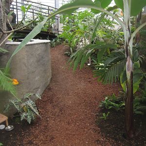 Hald Ege Miniregnskov - Den Nye Regnskov