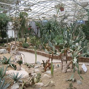 Hald Ege Miniregnskov - Desert area - Cactus garden