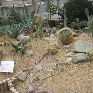 Hald Ege Miniregnskov - Desert area - Cactus garden