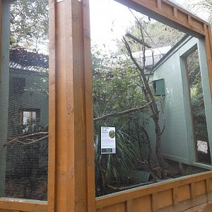 Antipodes Island Parakeet enclosure