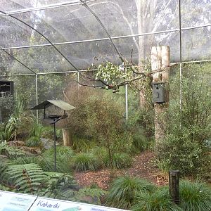 Walk-in aviary