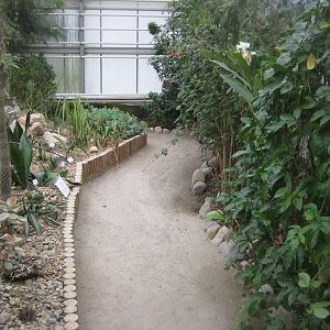 Hald Ege Miniregnskov - Desert area - Cactus garden