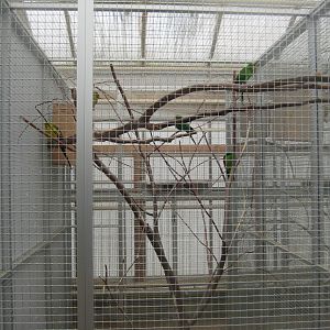Hald Ege Miniregnskov - Desert area - Mixed parakeet aviary