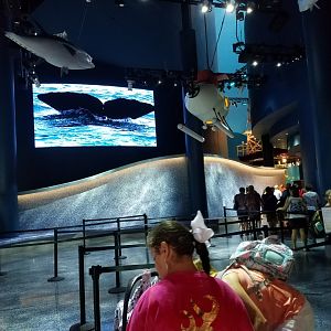 Renovated Moody Gardens Aquarium Entrance