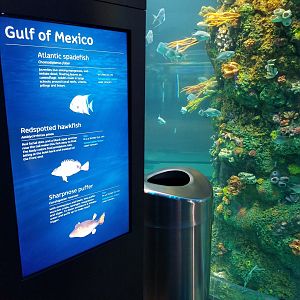 Species sign Example with new Gulf of Mexico Cylindrical tank
