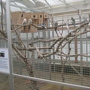 Hald Ege Miniregnskov - Desert area - Cockatiel aviary