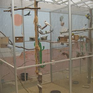 Hald Ege Miniregnskov - Plant shop - Budgie aviary