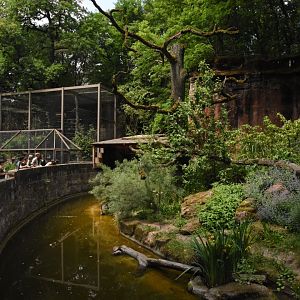 Fishing cat enclosure