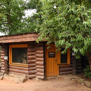 Siberian forest aviary and barn owls