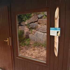 Small mammal cubicle