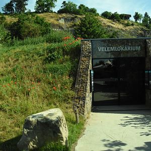 Giant salamander house