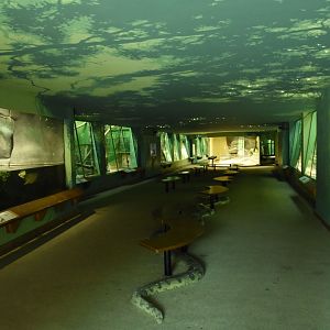 Inside the cat house