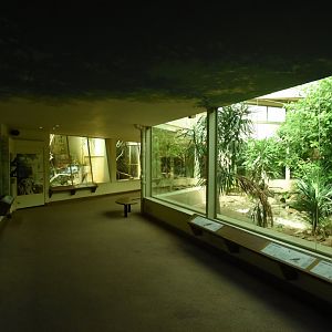 Inside the cat house