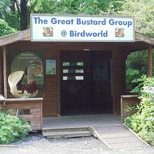 Great Bustard Enclosure 2017