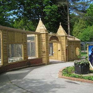 Terry Pratchetts Owl Parliament new aviaries 2017