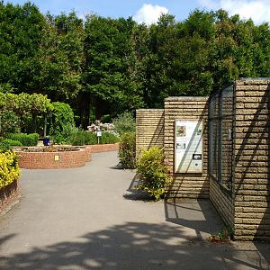 Lorikeet aviaries 2017