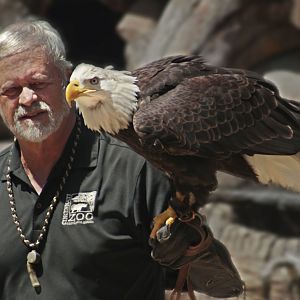 Jun. 2017 - Wings Of Wonder - Sam