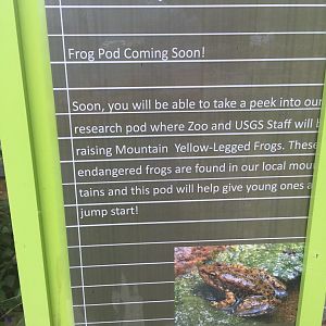 Frog Pod Info