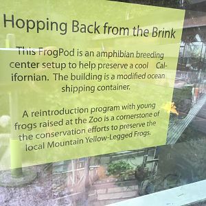 Frog Pod Info