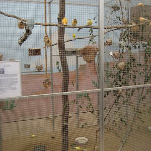 Hald Ege Miniregnskov - Plant shop - Canary aviary