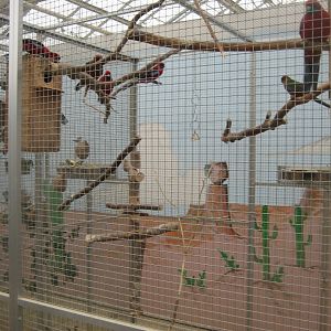 Hald Ege Miniregnskov - Plant shop - Rosella aviary