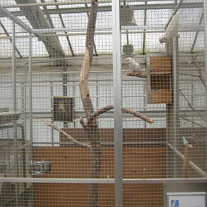 Hald Ege Miniregnskov - Plant shop - Cockatoo aviary