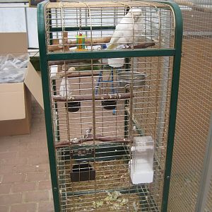 Hald Ege Miniregnskov - Plant shop - Cockatoo cage