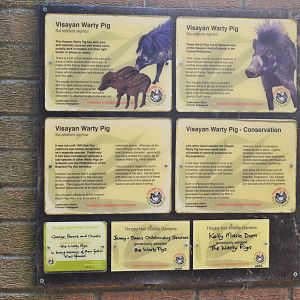 Signage Example at Thrigby Hall, 10/06/17