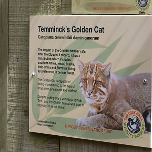 Signage Example at Thrigby Hall, 10/06/17