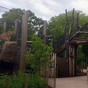 Rosebrough Tiger Passage