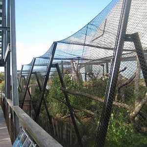 Randers Regnskov - Old jaguar exhibit