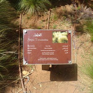 03/05/17 - Exemple of signage inside the ''Botanical Garden''