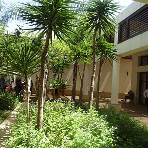 03/05/17 - Exemple of architecture and foliage inside the ''Botanical Garden''