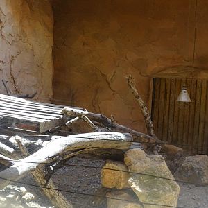 03/05/17 - Red fox exhibit