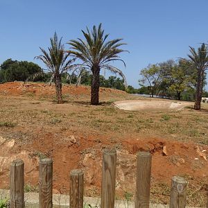 03/05/17 - Addax exhibit