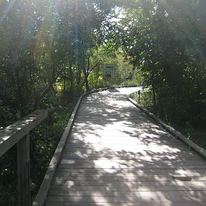 Randers Regnskov - Nature trail