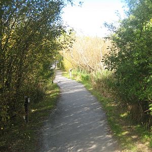 Randers Regnskov - Nature trail