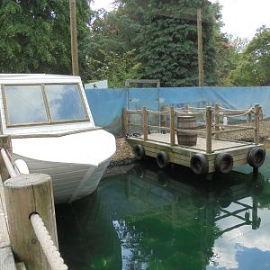 Penguin Beach walk-through aviary 2017