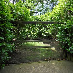 Former Cassowary enclosure 2017