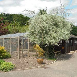 Outback Landing 2017