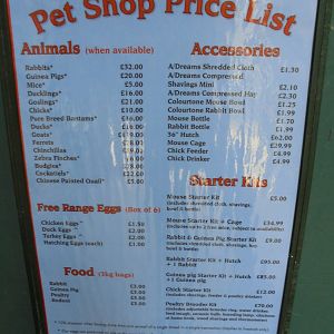 For sale list Jenny Wren farm 2017.