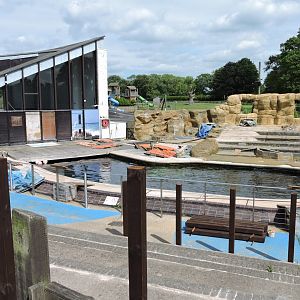 Work at Sea Lion area