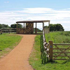 New Rhino paddock viewing area