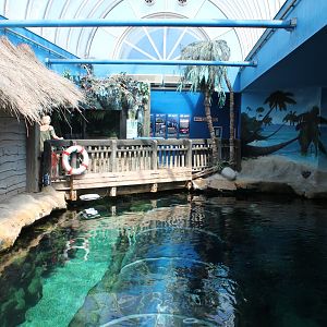 Great Barrier Reef View
